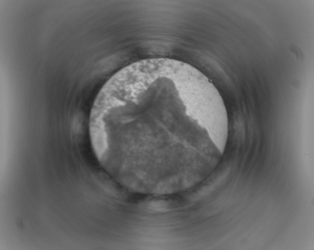X0000113780228200910211212