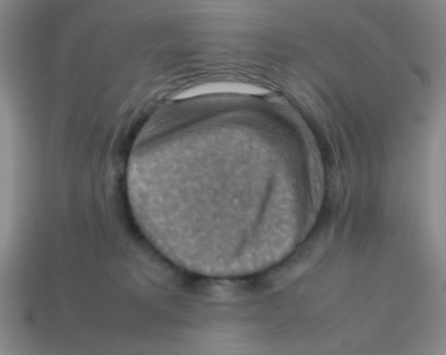 X0000113780229200910211212