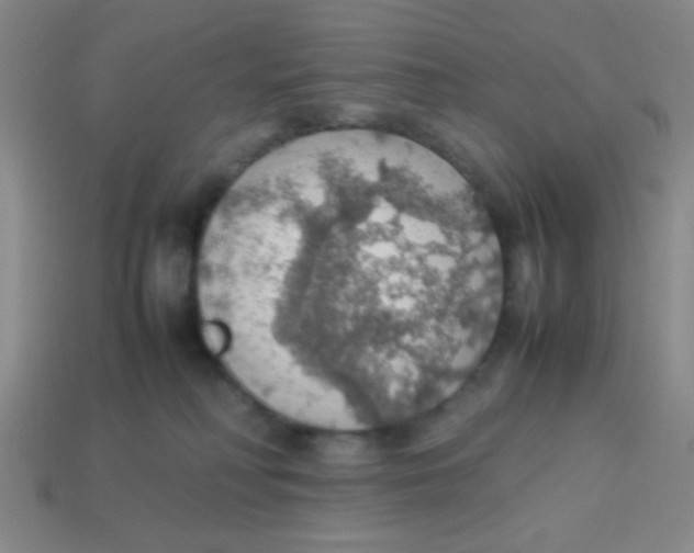 X0000113780230200910211212