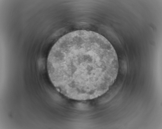 X0000113780232200910211212