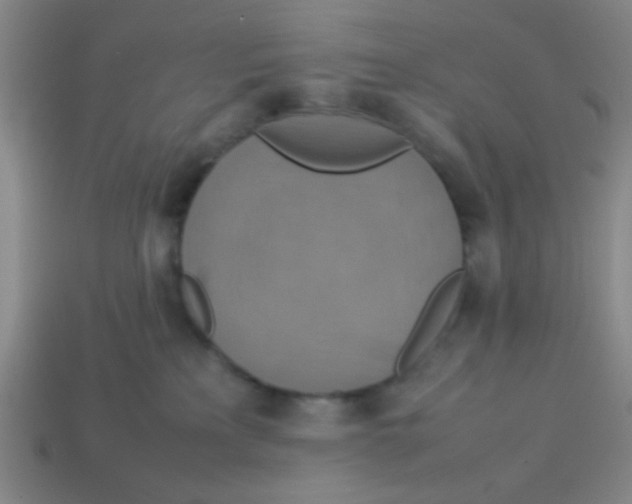 X0000113780233200910211212