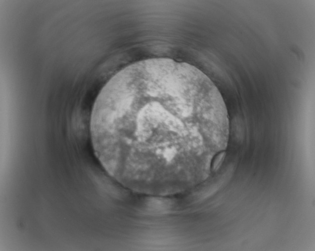 X0000113780234200910211212