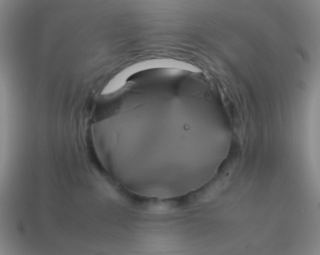 X0000113780235200910211212