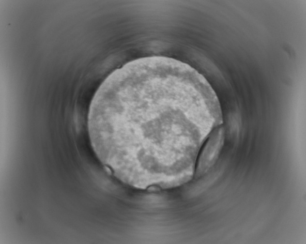 X0000113780236200910211212