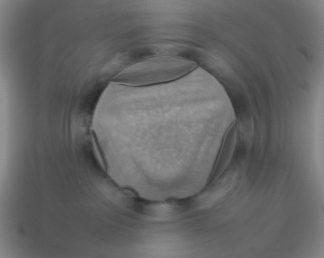 X0000113780237200910211212
