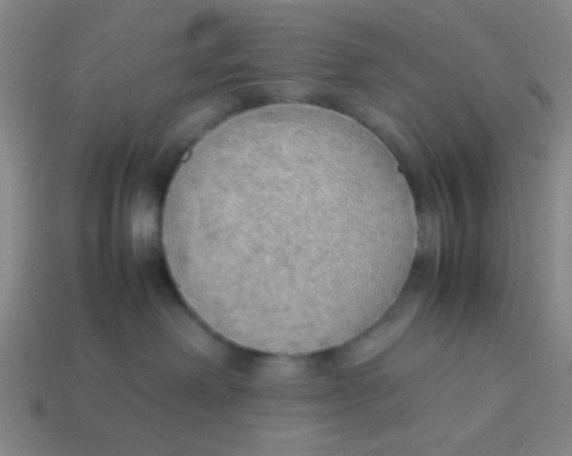 X0000113780238200910211212