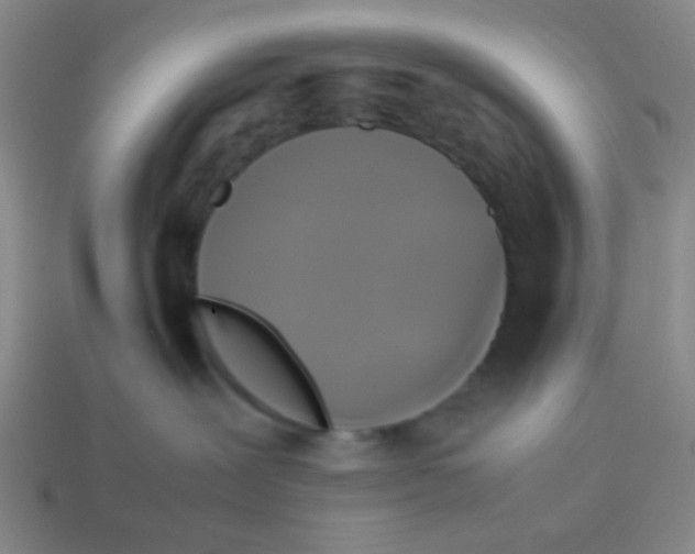 X0000113780239200910211212