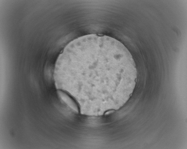 X0000113780240200910211212