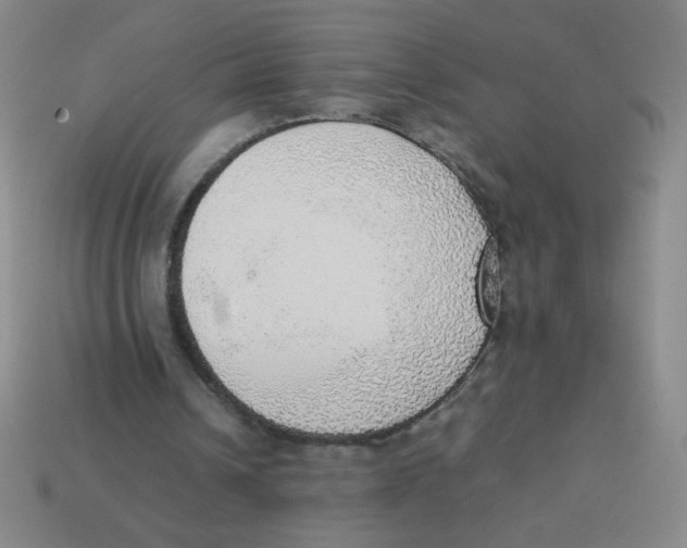 X0000113780242200910211212