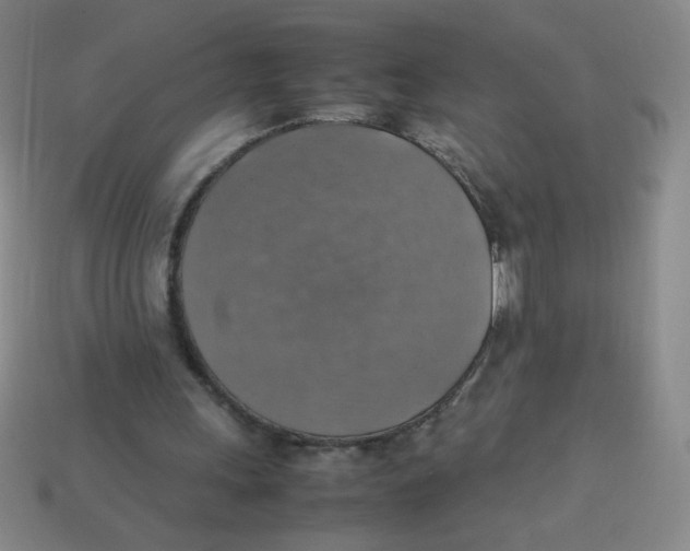 X0000113780243200910211212