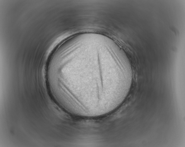 X0000113780244200910211212