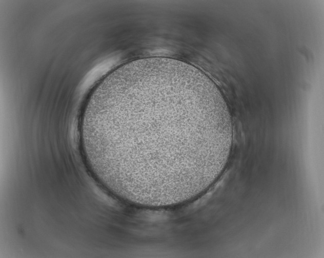 X0000113780245200910211212