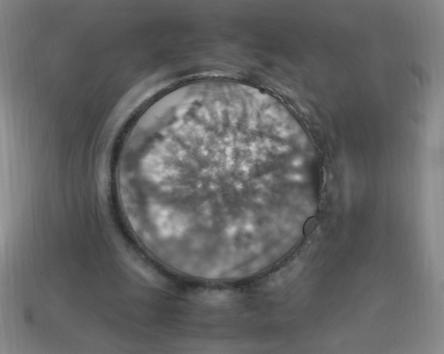 X0000113780247200910211212