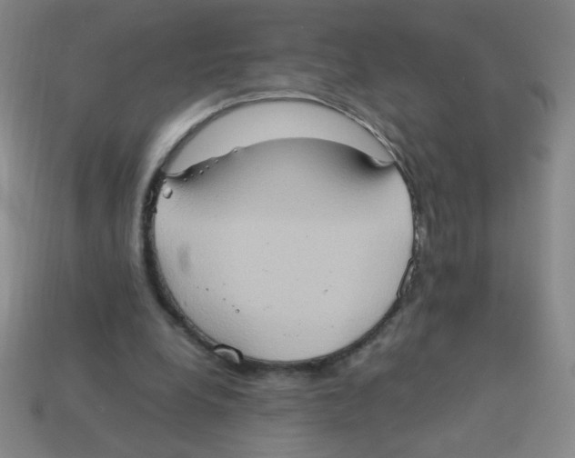 X0000113780248200910211212