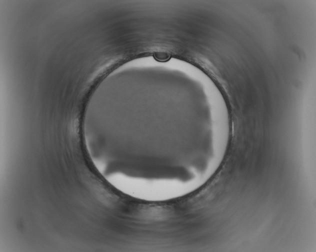 X0000113780249200910211212
