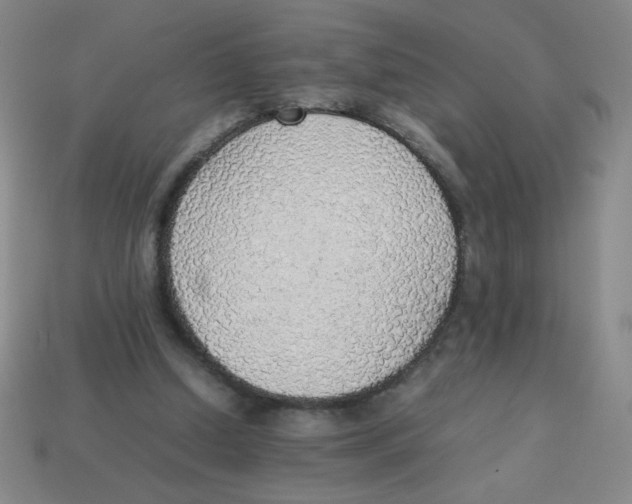 X0000113780250200910211212