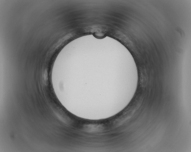X0000113780251200910211212