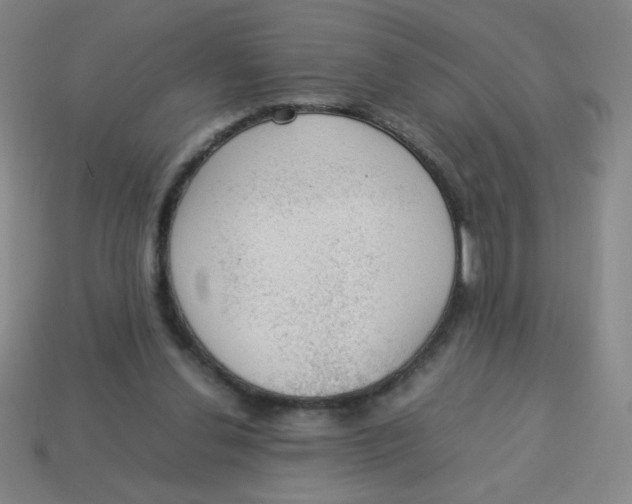 X0000113780252200910211212