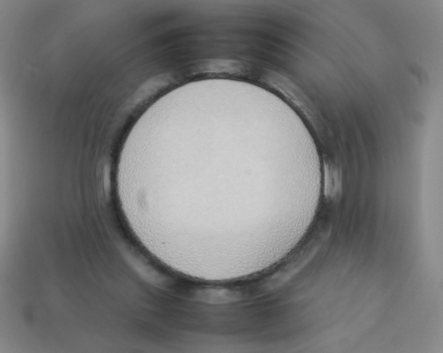 X0000113780253200910211212