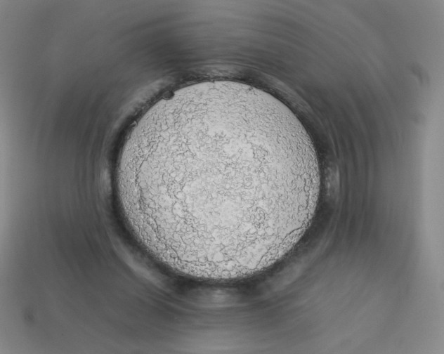 X0000113780254200910211212