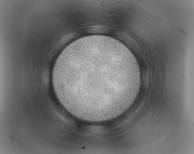 X0000113780255200910211212