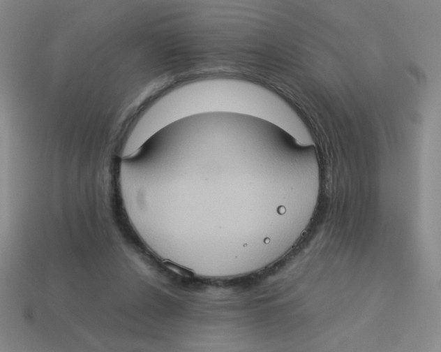 X0000113780256200910211212