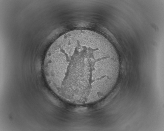 X0000113780257200910211212