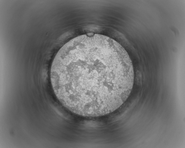 X0000113780259200910211212