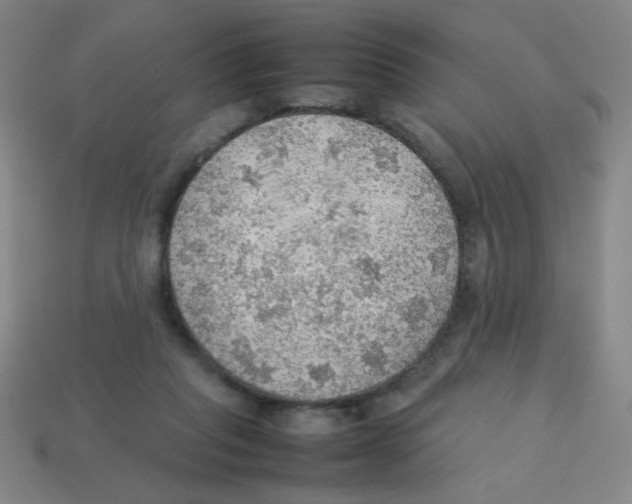 X0000113780261200910211212