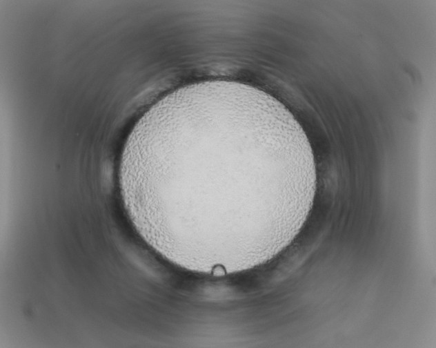 X0000113780262200910211212