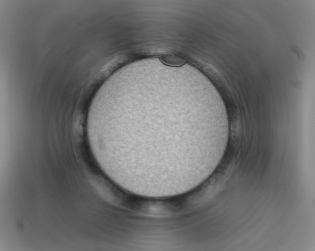 X0000113780264200910211212