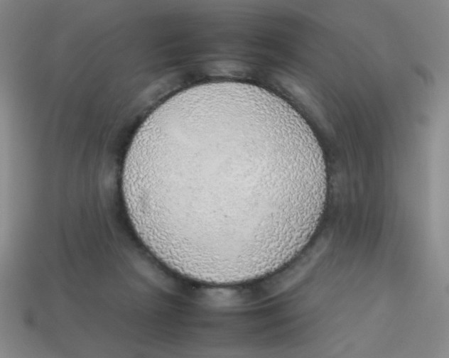 X0000113780265200910211212