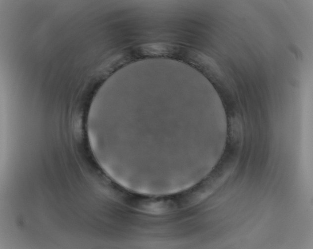 X0000113780267200910211212