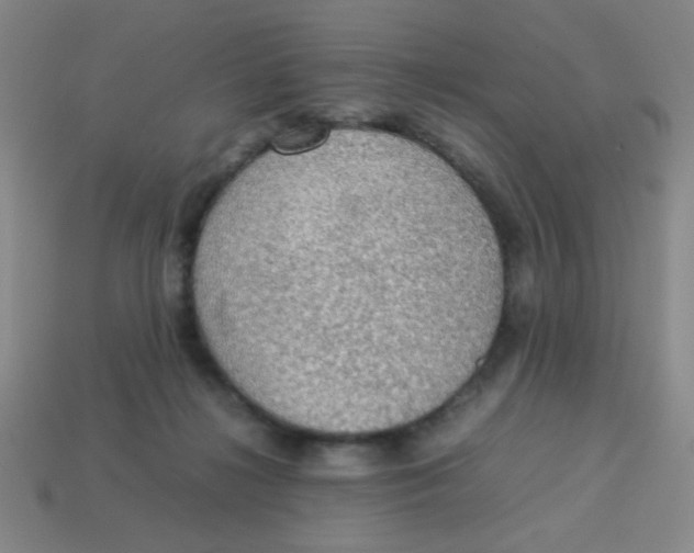 X0000113780268200910211212