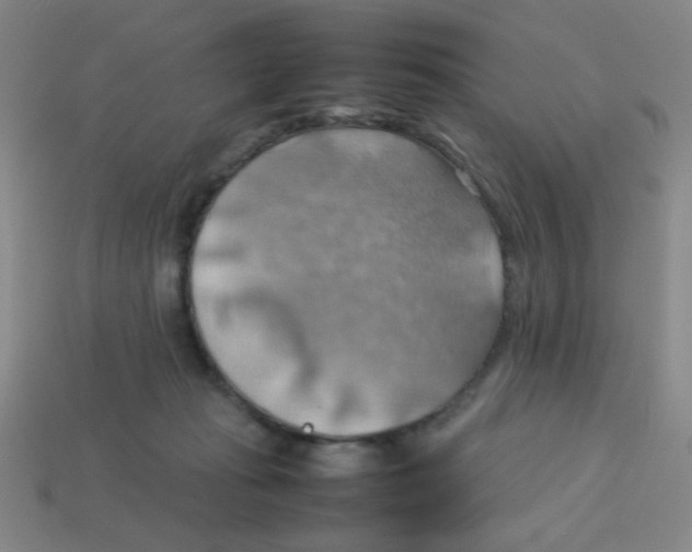 X0000113780269200910211212