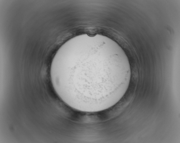 X0000113780270200910211212