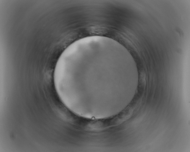 X0000113780271200910211212