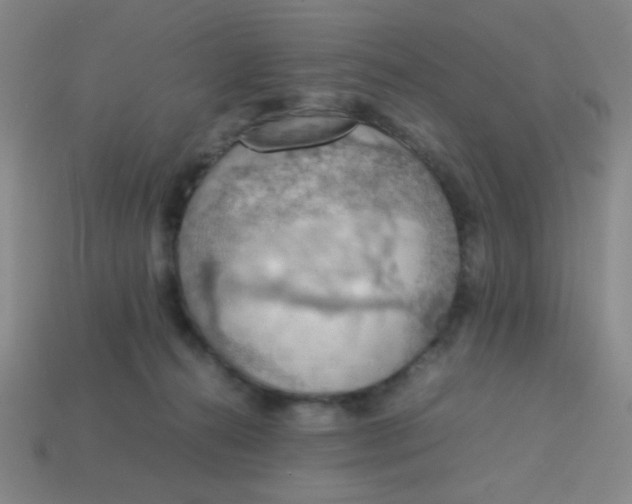 X0000113780272200910211212