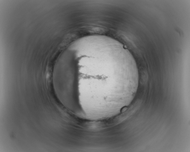 X0000113780273200910211212