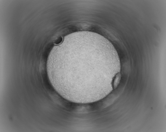 X0000113780274200910211212