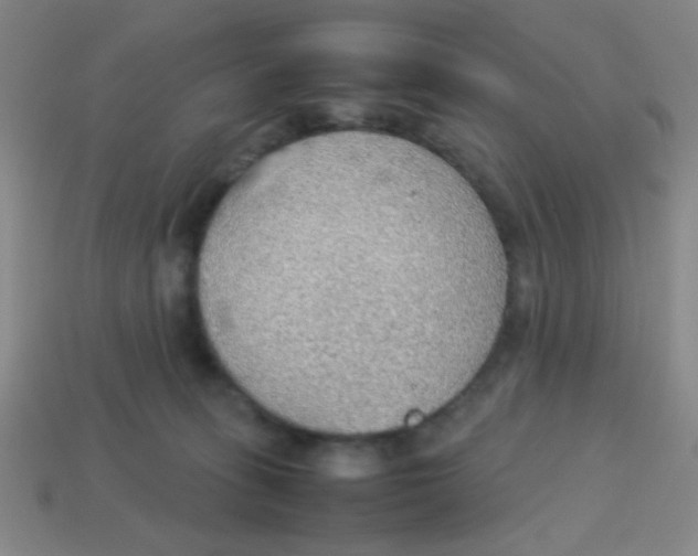 X0000113780275200910211212