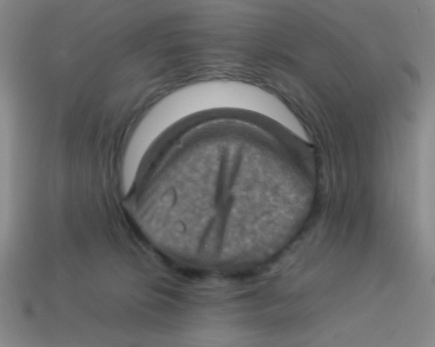 X0000113780276200910211212