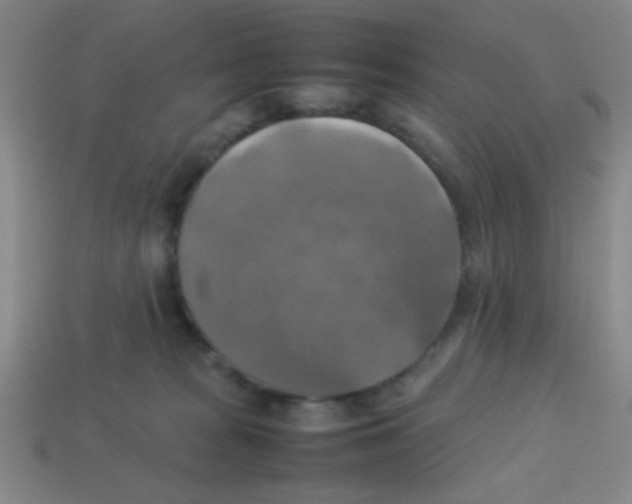 X0000113780277200910211212