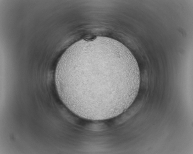 X0000113780278200910211212