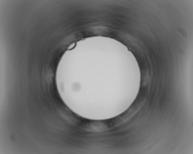 X0000113780279200910211212