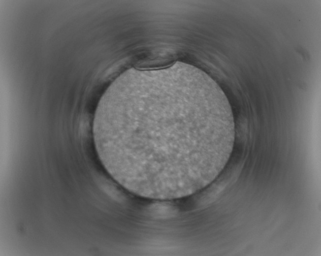 X0000113780280200910211212