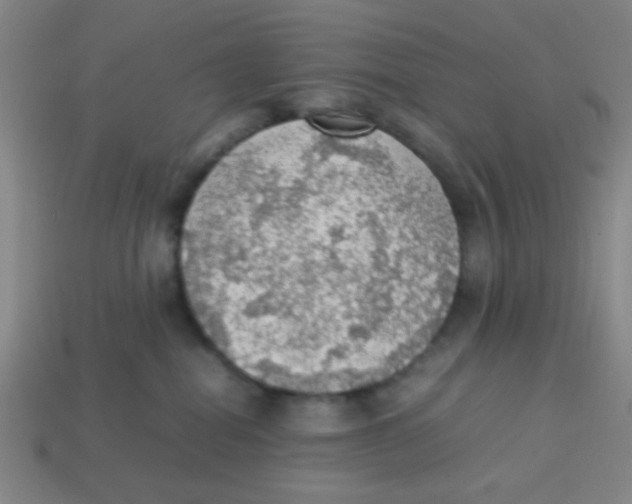 X0000113780282200910211212