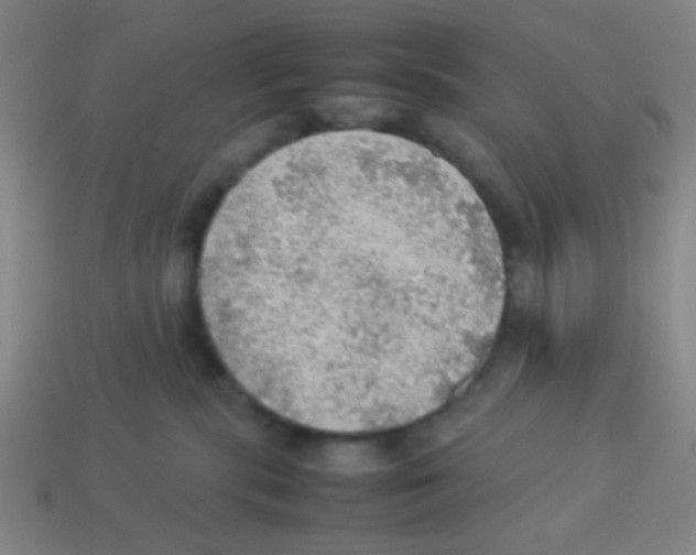 X0000113780283200910211212