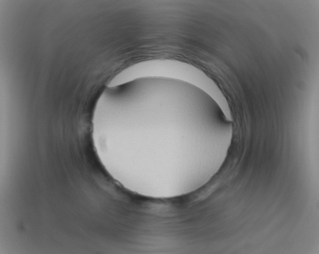X0000113780284200910211212