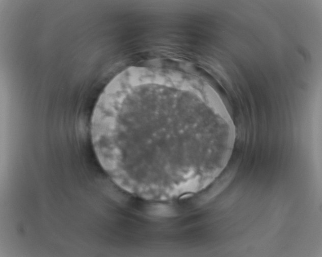 X0000113780285200910211212